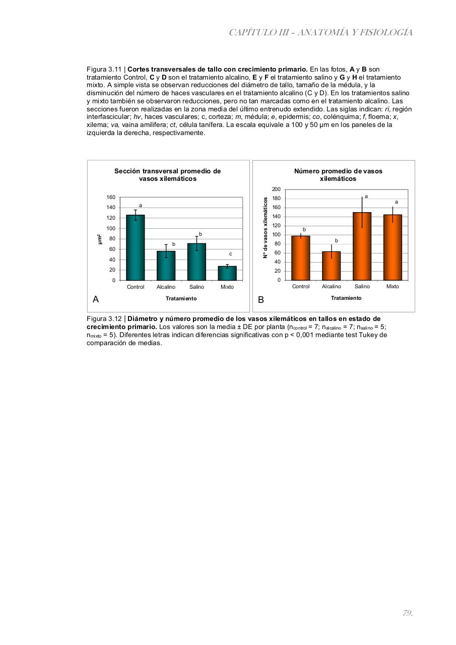 Vista previa del archivo PDF paz-rosalia---tesis-doctoral.pdf