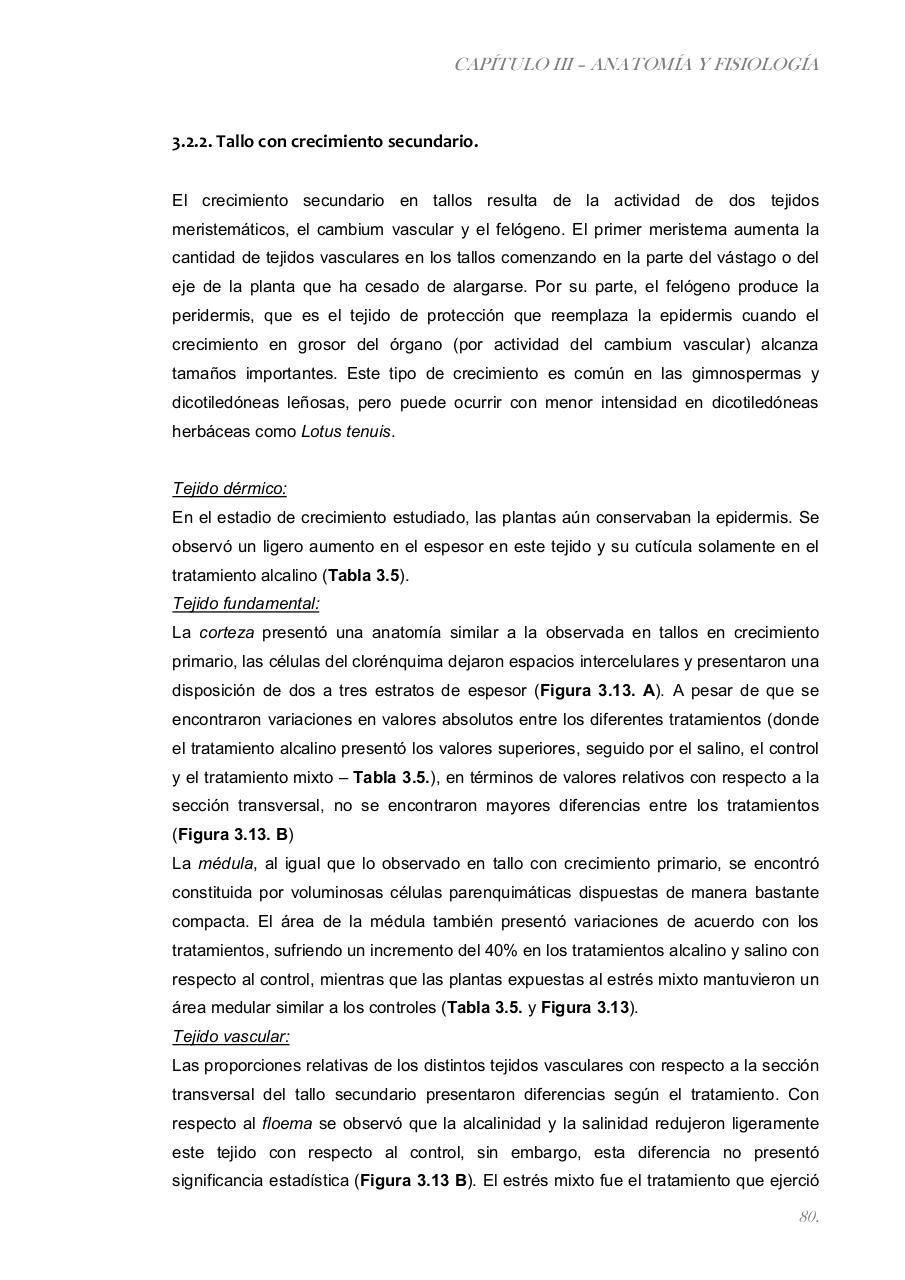 Vista previa del archivo PDF paz-rosalia---tesis-doctoral.pdf