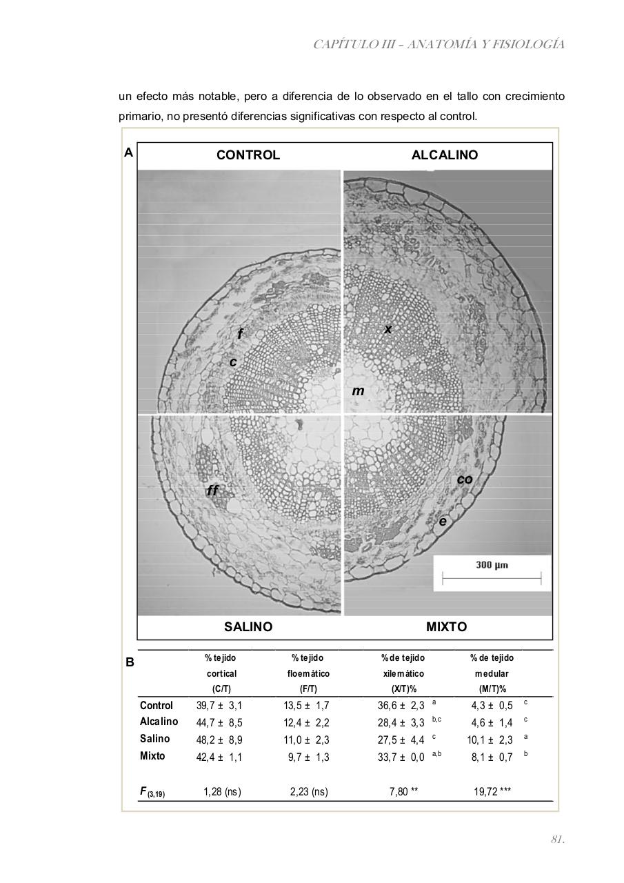 Vista previa del archivo PDF paz-rosalia---tesis-doctoral.pdf