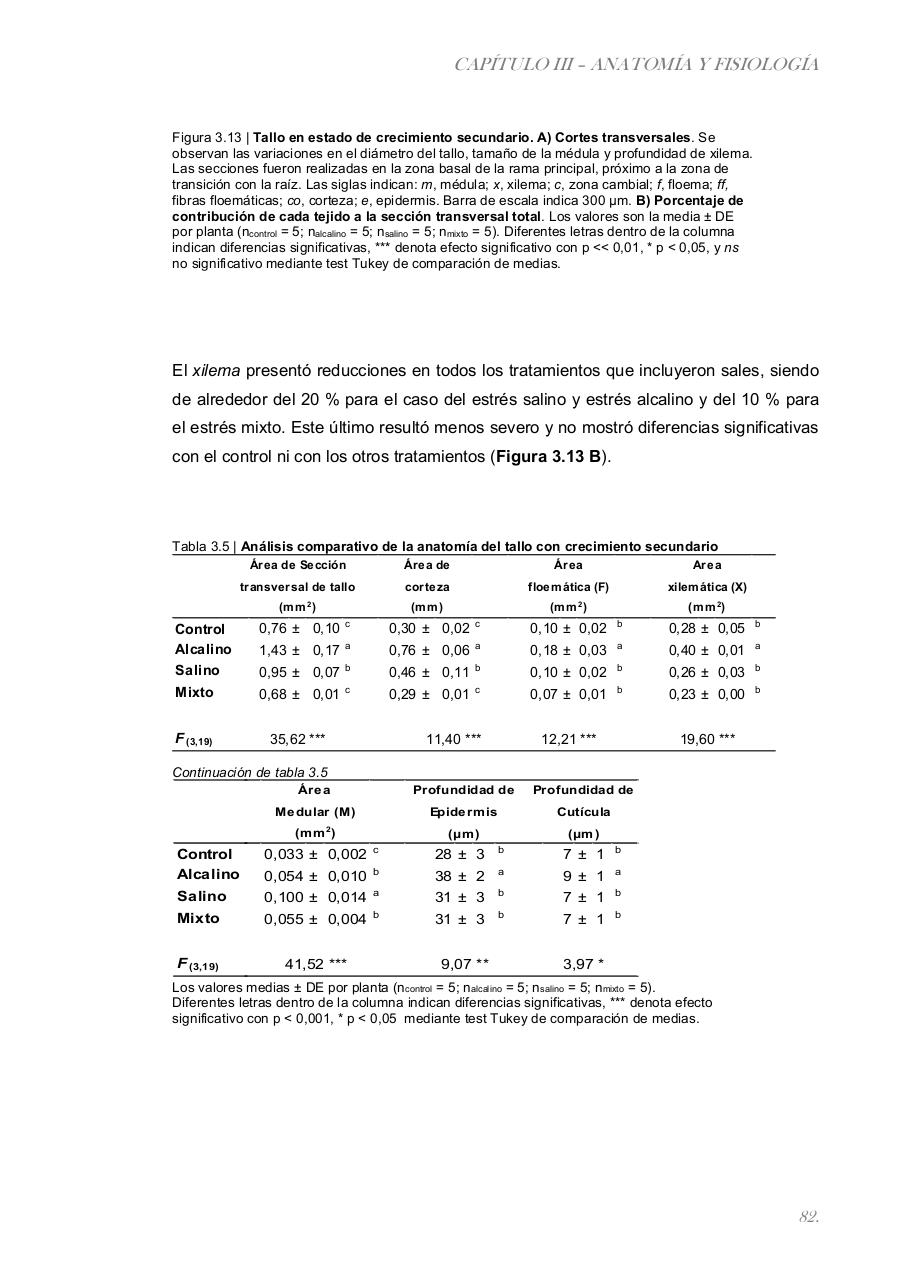 Vista previa del archivo PDF paz-rosalia---tesis-doctoral.pdf