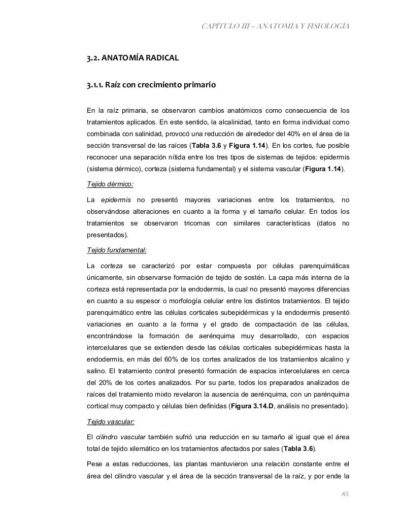 Vista previa del archivo PDF tesis-completa.pdf