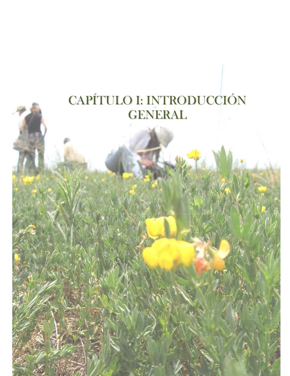 Vista previa del archivo PDF tesis-completa.pdf