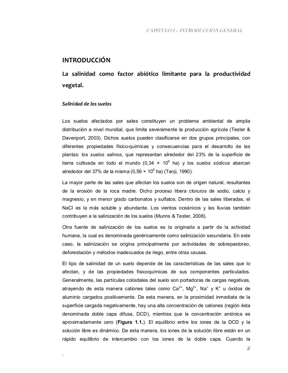 Vista previa del archivo PDF tesis-completa.pdf