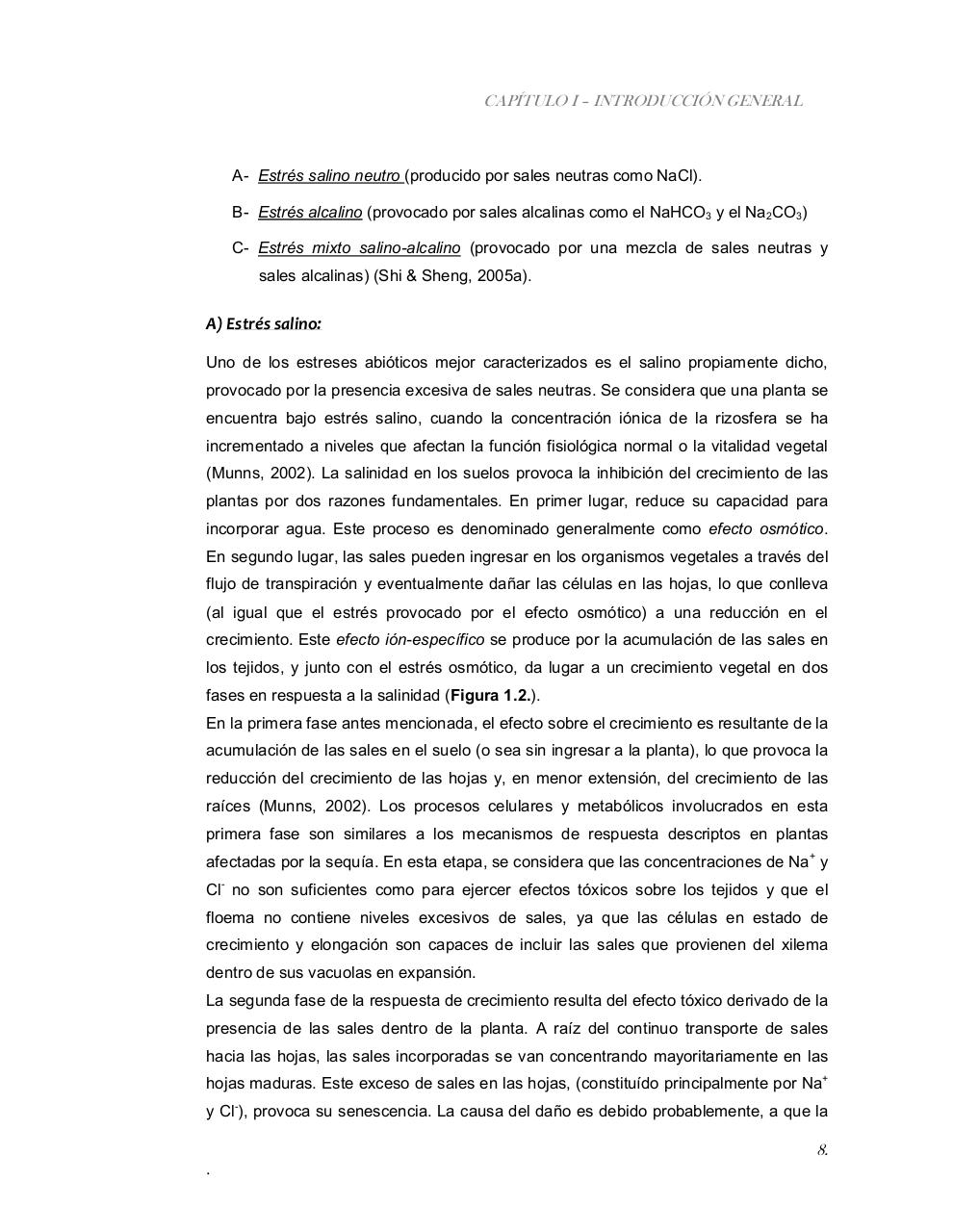 Vista previa del archivo PDF tesis-completa.pdf