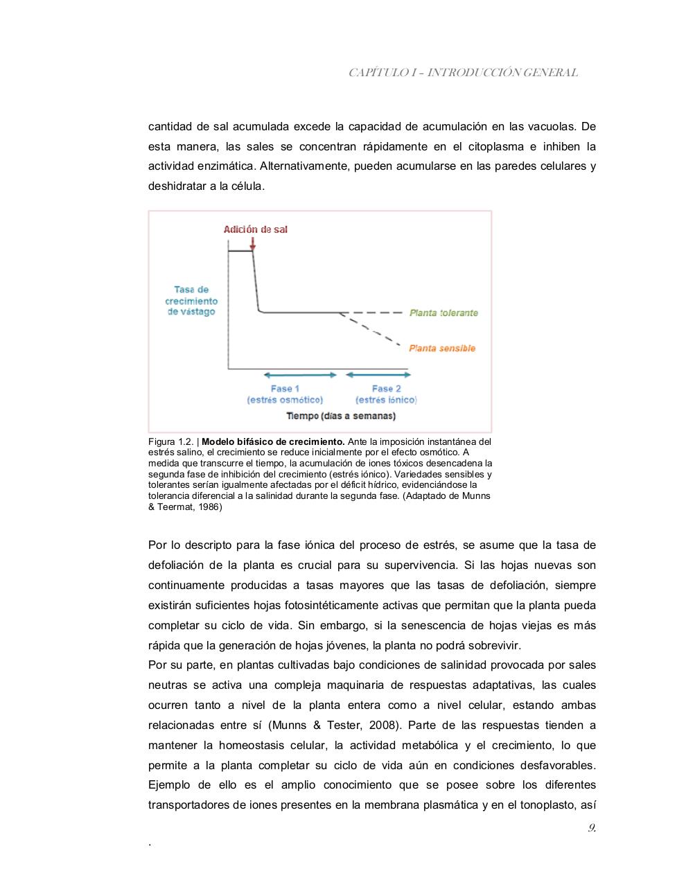Vista previa del archivo PDF tesis-completa.pdf