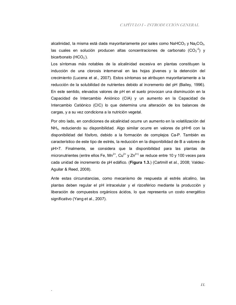 Vista previa del archivo PDF tesis-completa.pdf