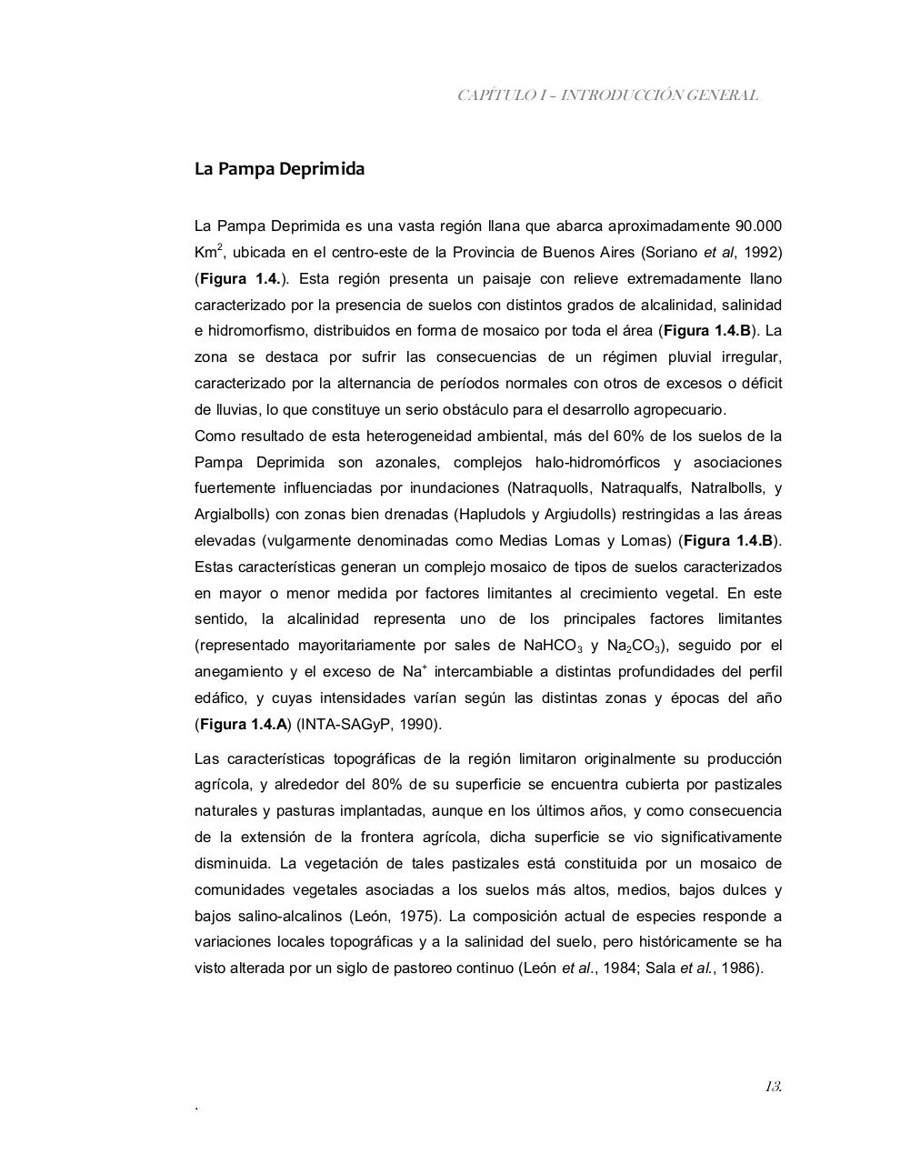 Vista previa del archivo PDF tesis-completa.pdf