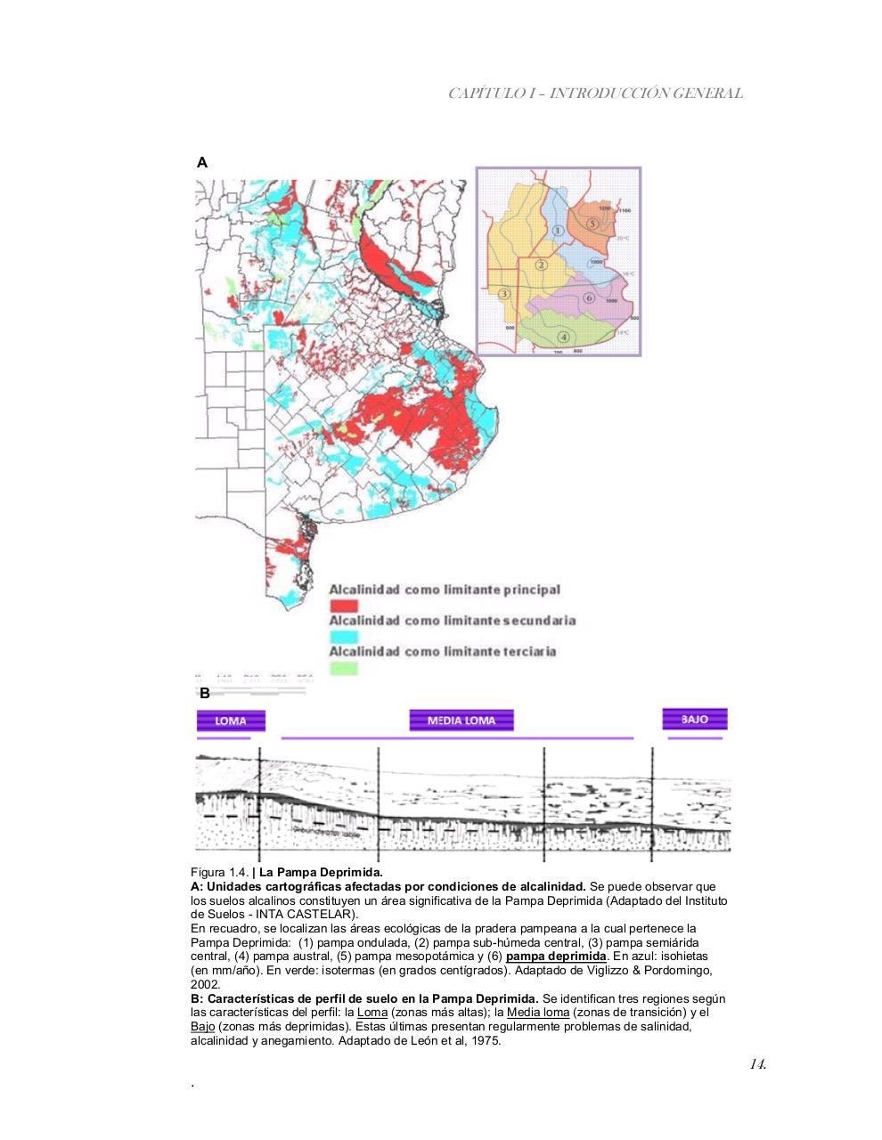 Vista previa del archivo PDF tesis-completa.pdf