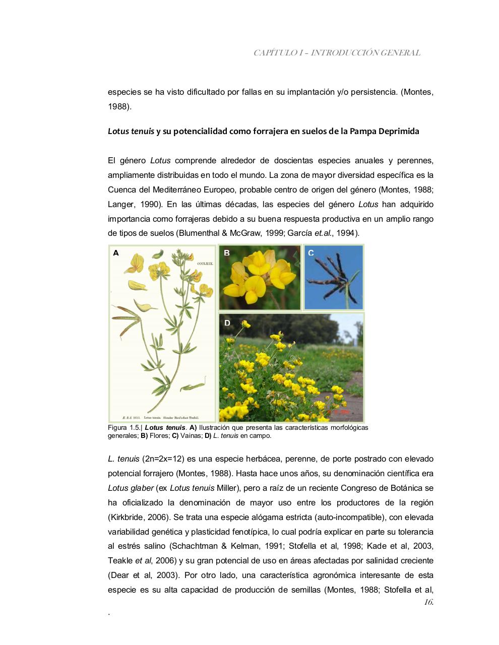 Vista previa del archivo PDF tesis-completa.pdf