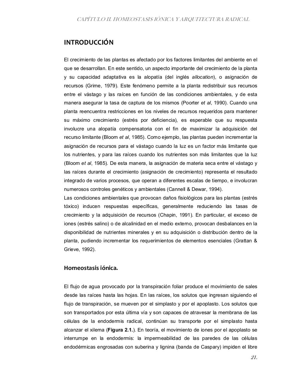 Vista previa del archivo PDF tesis-completa.pdf