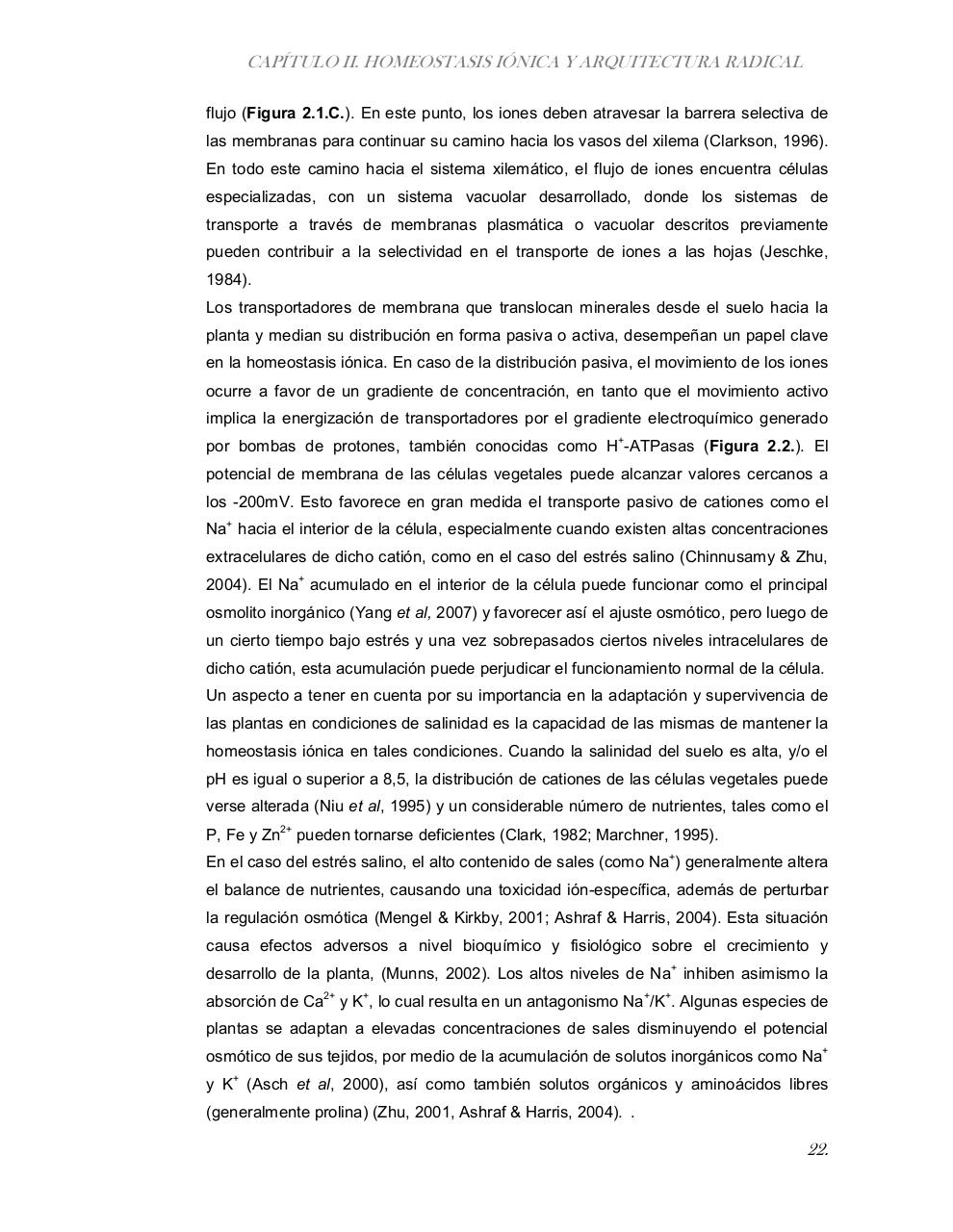 Vista previa del archivo PDF tesis-completa.pdf