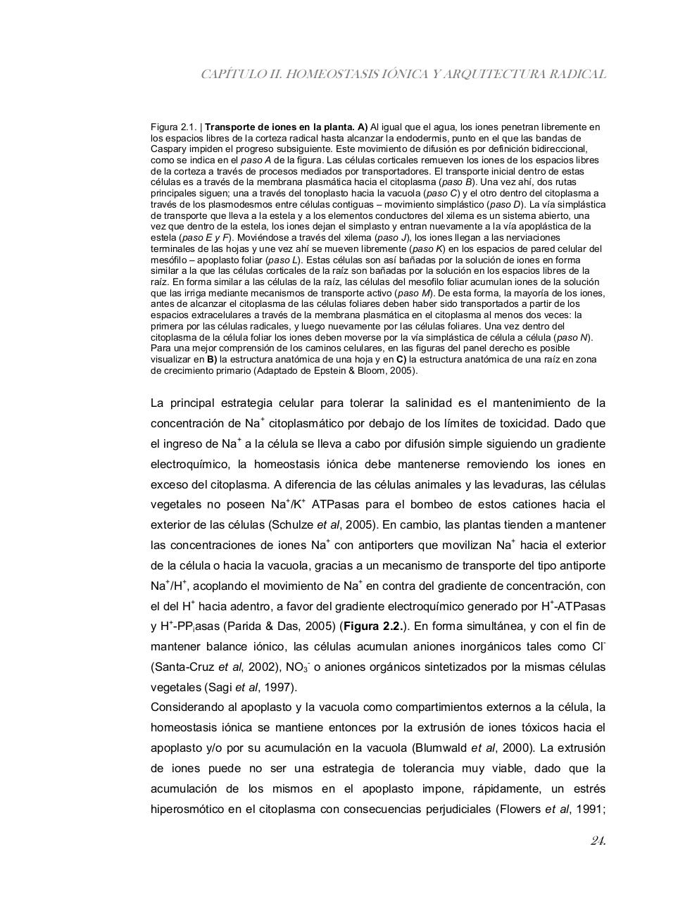 Vista previa del archivo PDF tesis-completa.pdf