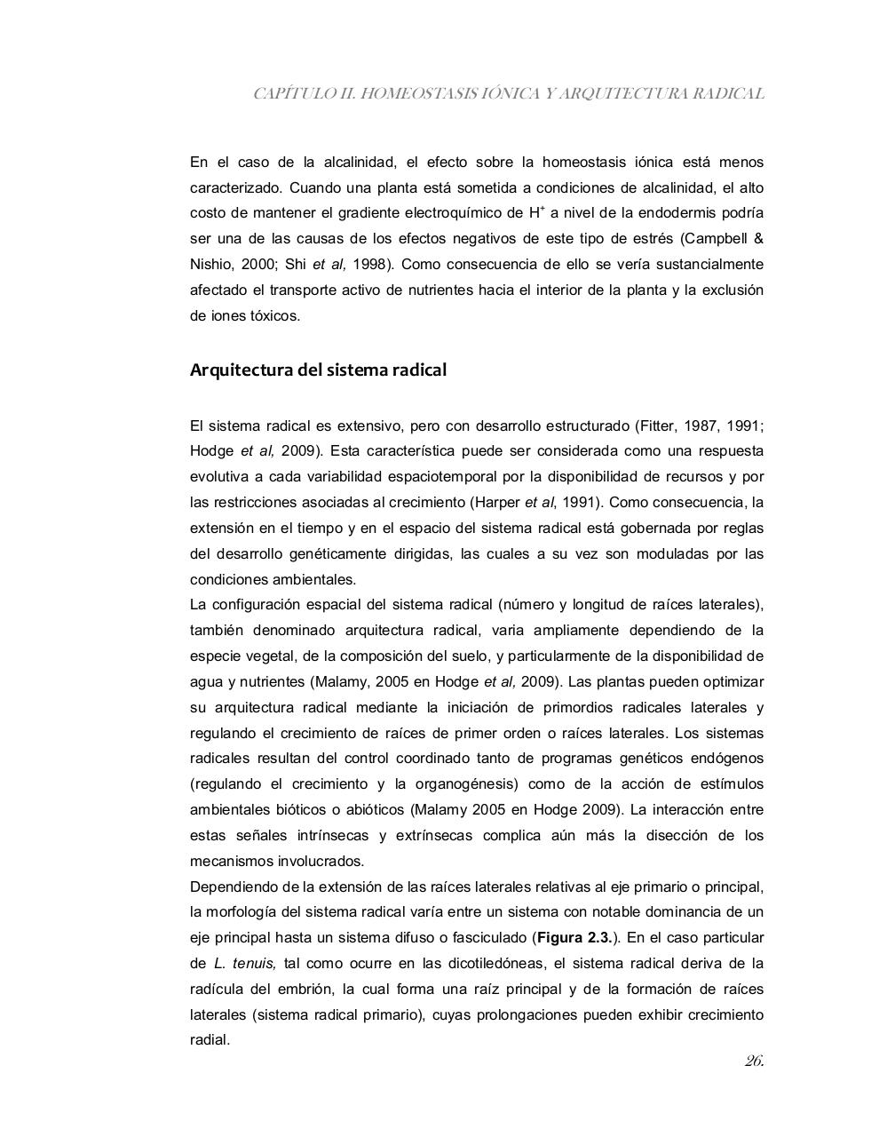 Vista previa del archivo PDF tesis-completa.pdf