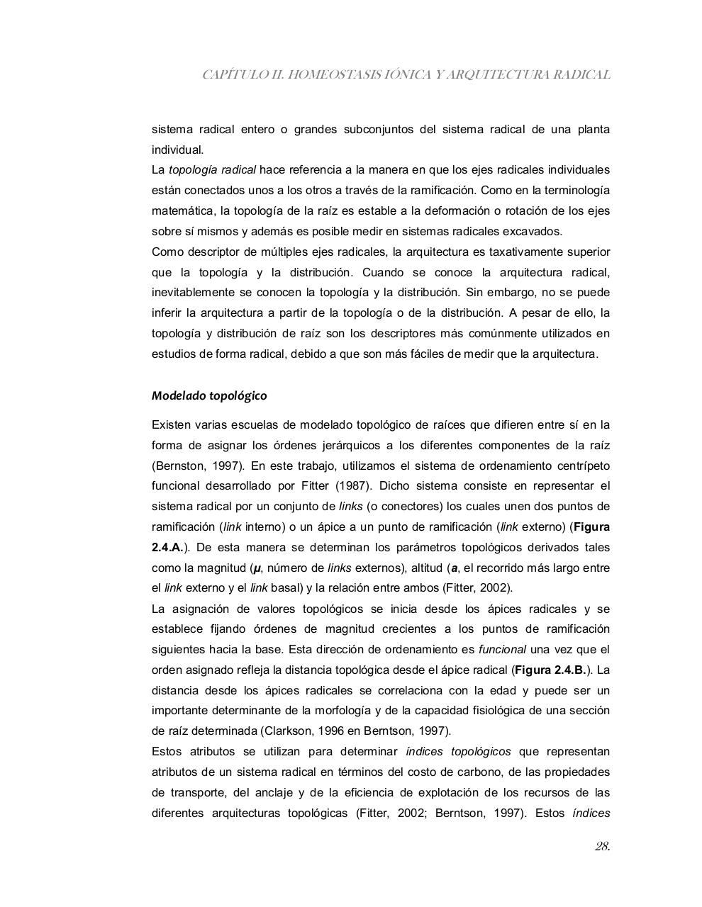 Vista previa del archivo PDF tesis-completa.pdf