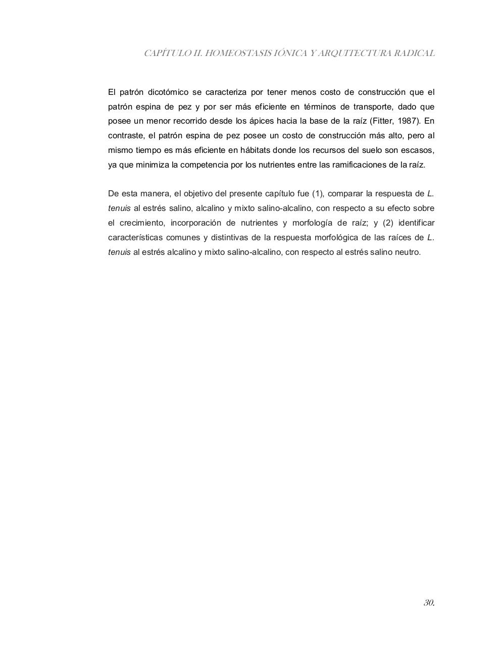 Vista previa del archivo PDF tesis-completa.pdf