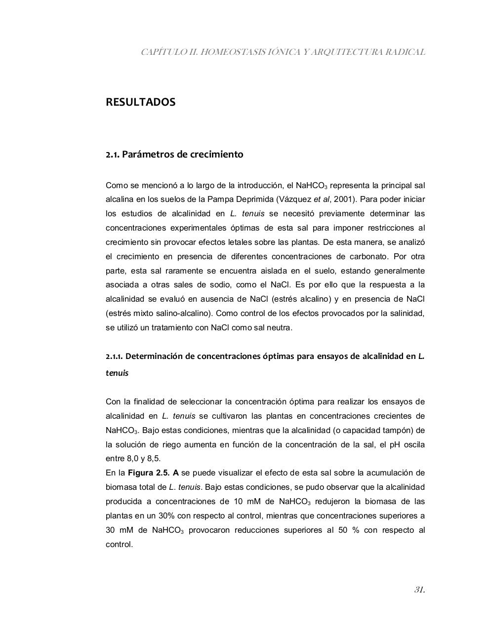 Vista previa del archivo PDF tesis-completa.pdf