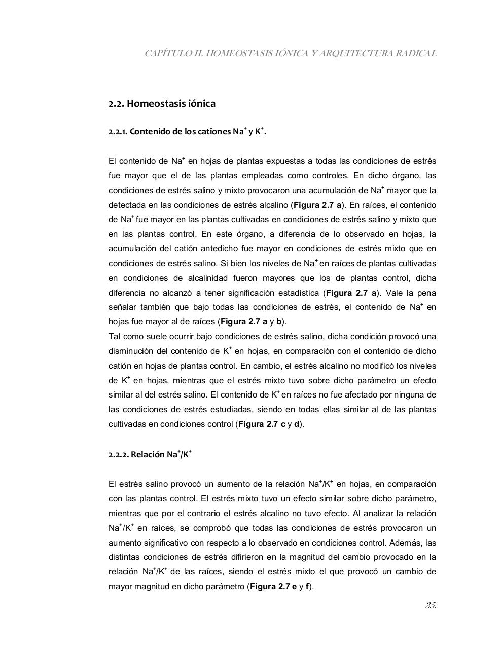 Vista previa del archivo PDF tesis-completa.pdf