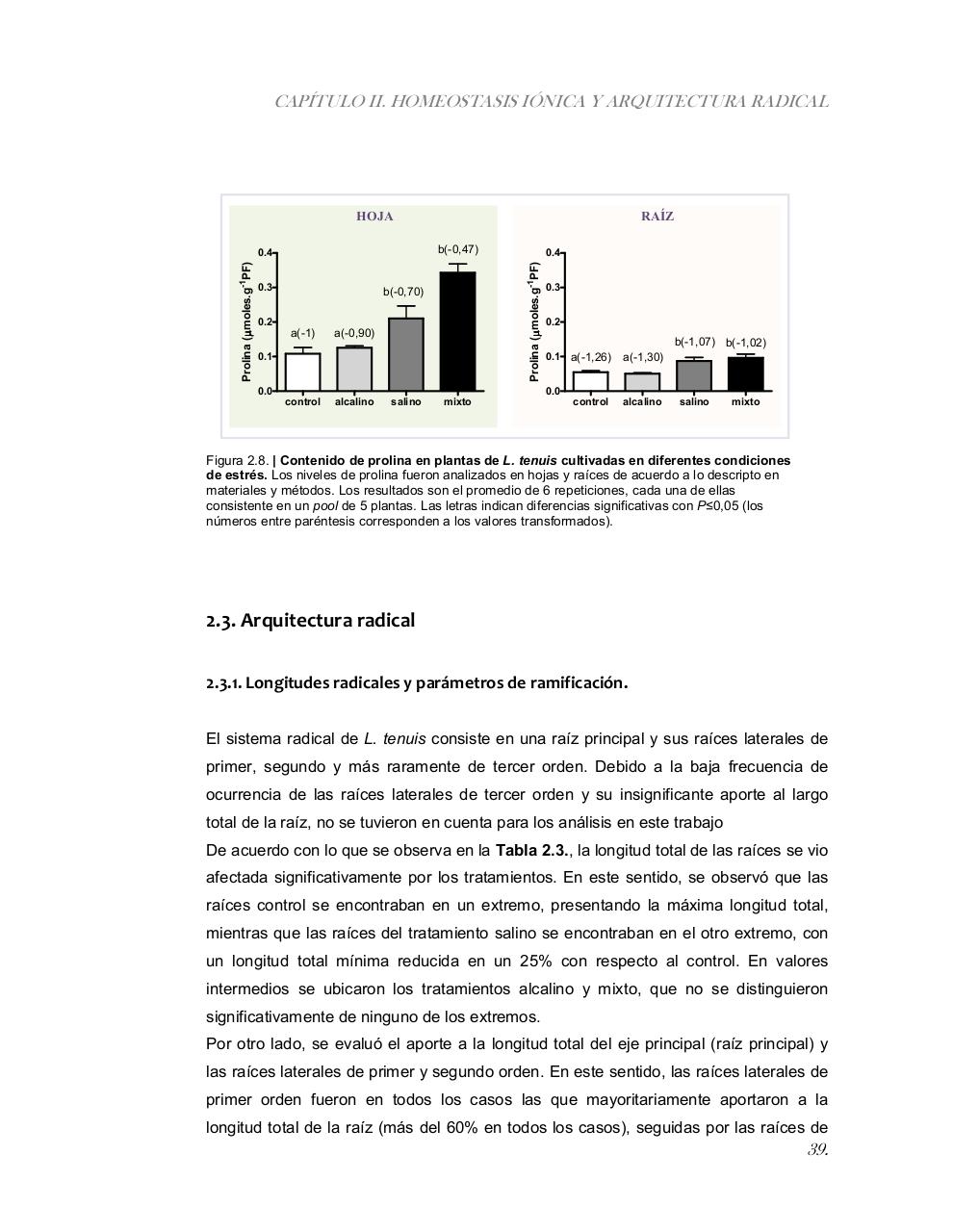 Vista previa del archivo PDF tesis-completa.pdf
