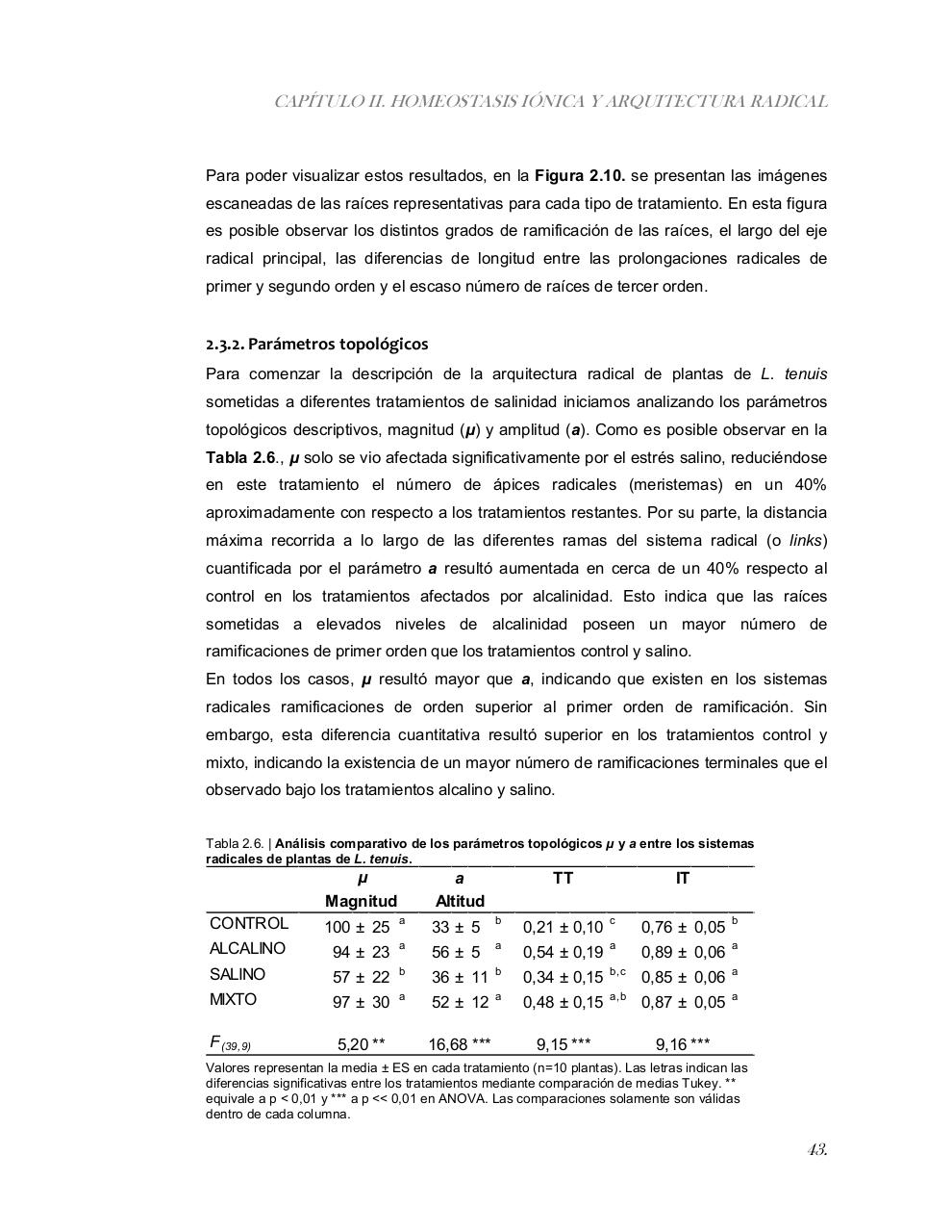 Vista previa del archivo PDF tesis-completa.pdf