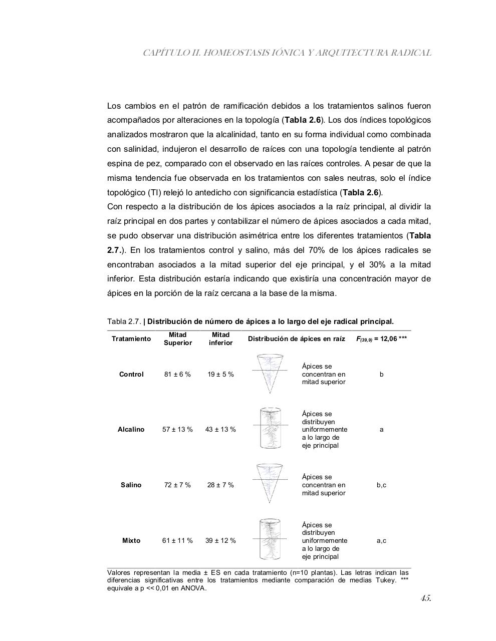 Vista previa del archivo PDF tesis-completa.pdf
