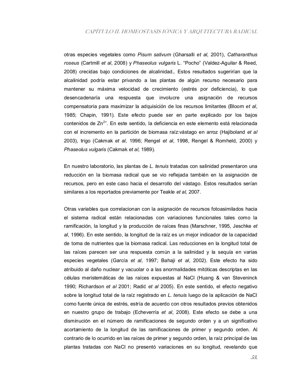 Vista previa del archivo PDF tesis-completa.pdf