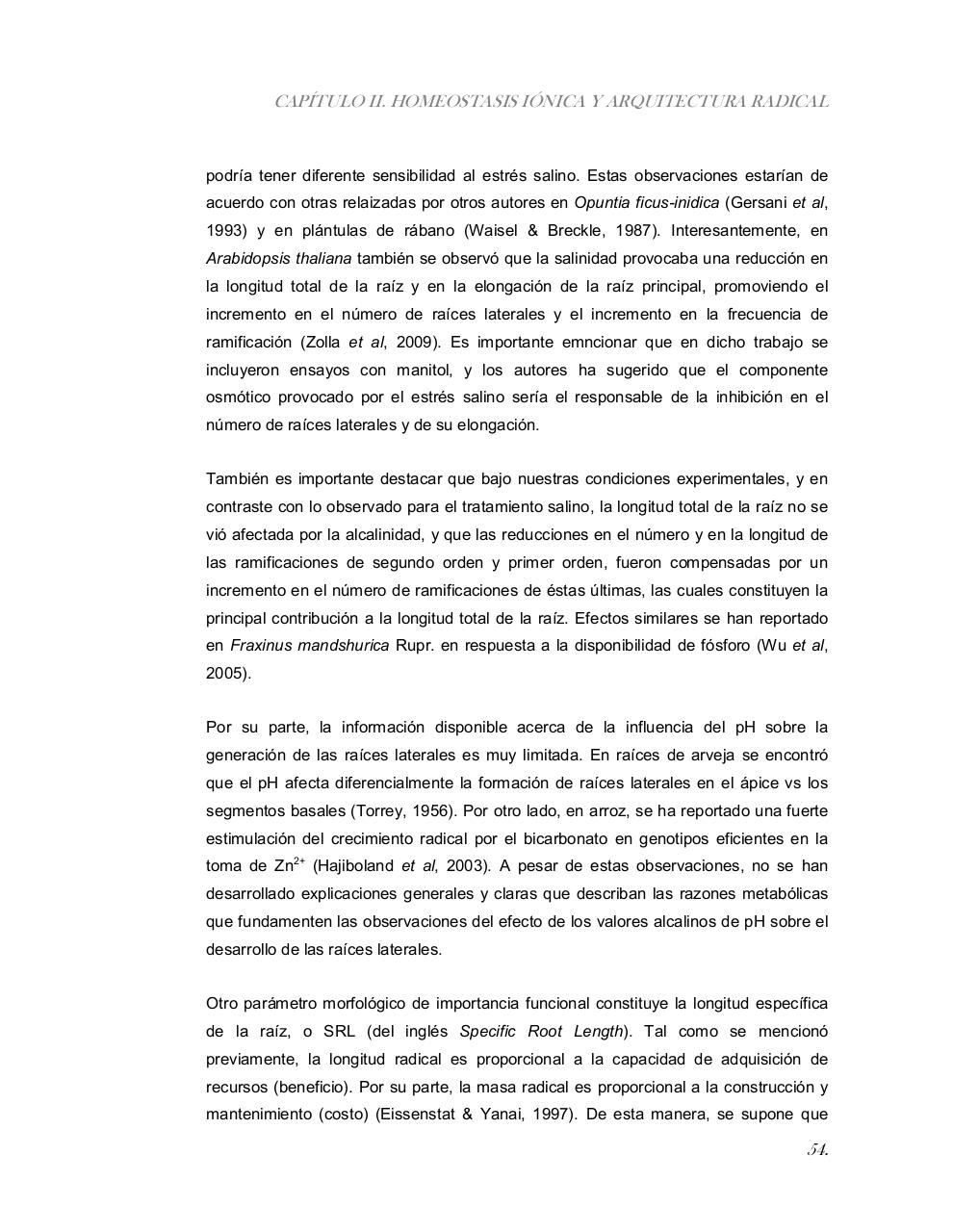 Vista previa del archivo PDF tesis-completa.pdf