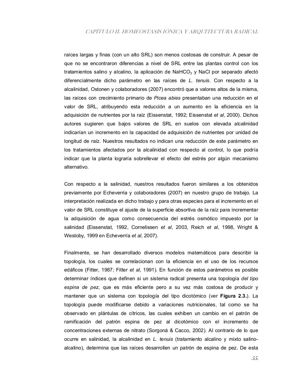 Vista previa del archivo PDF tesis-completa.pdf