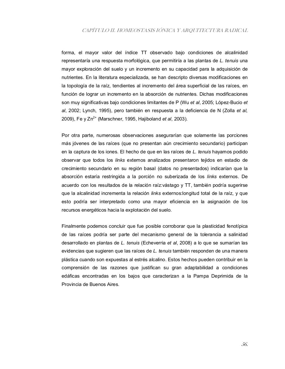 Vista previa del archivo PDF tesis-completa.pdf
