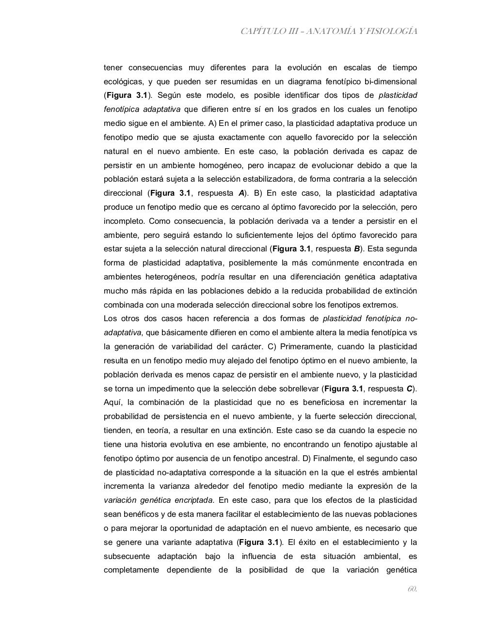 Vista previa del archivo PDF tesis-completa.pdf