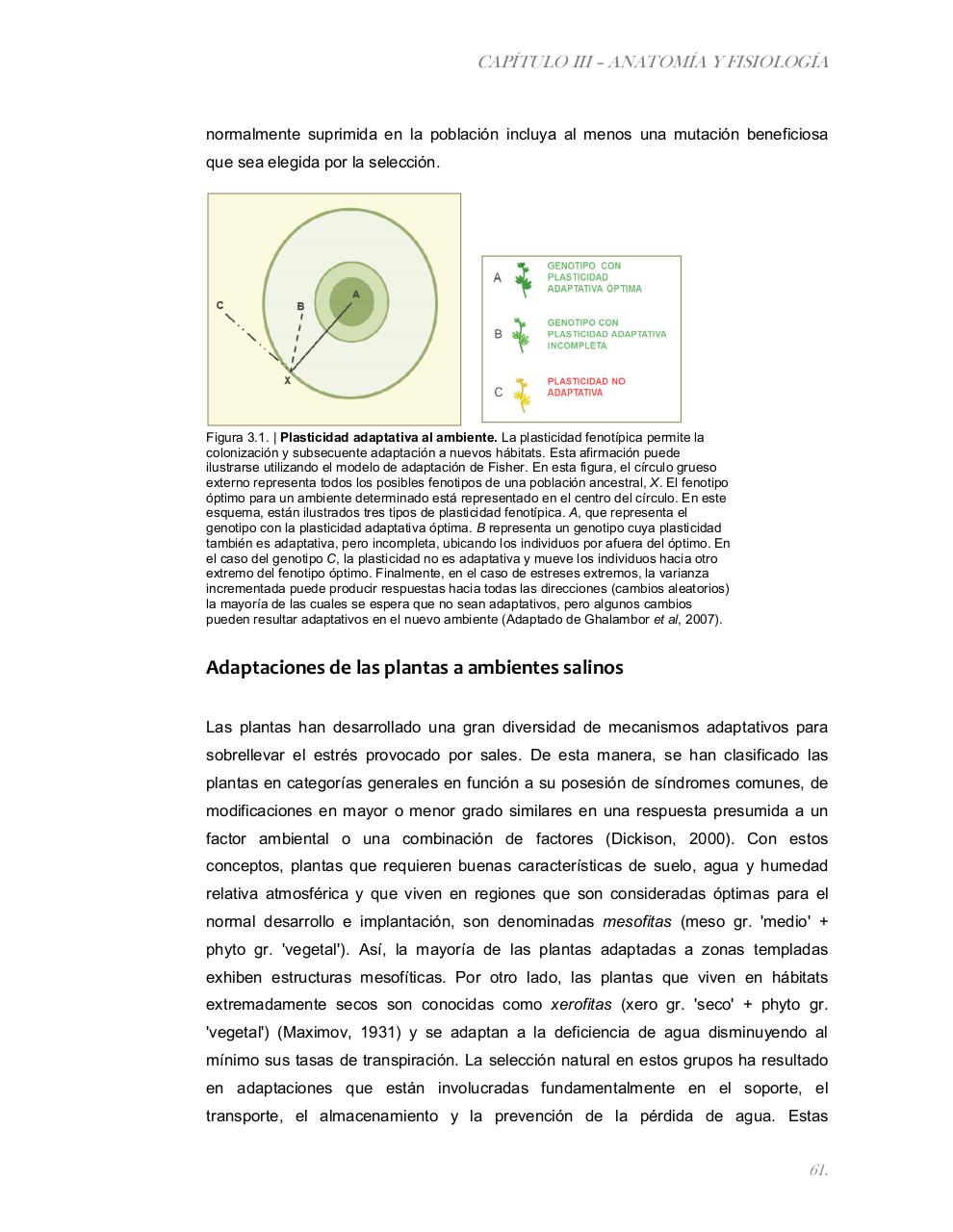 Vista previa del archivo PDF tesis-completa.pdf