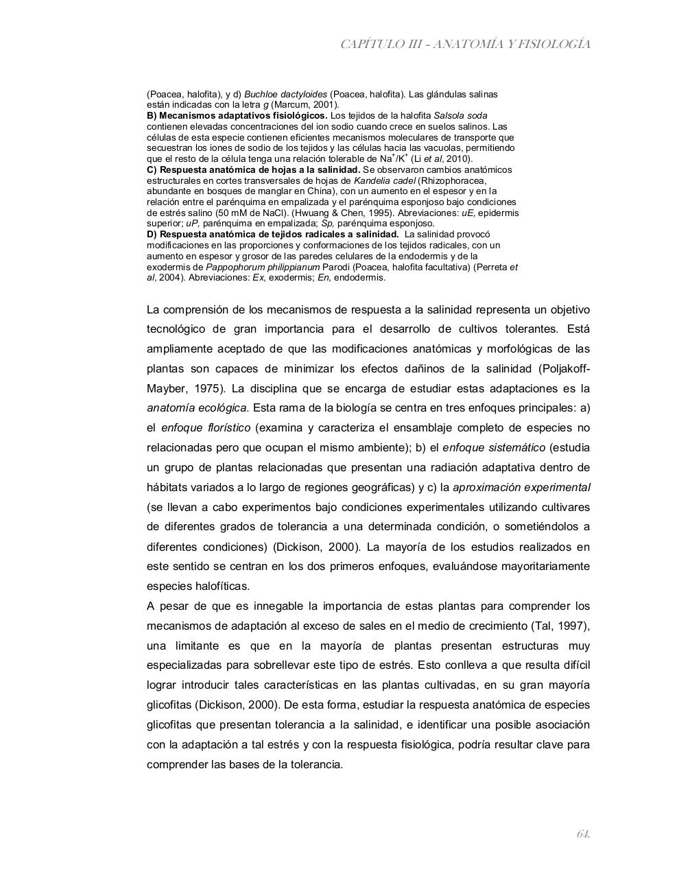 Vista previa del archivo PDF tesis-completa.pdf