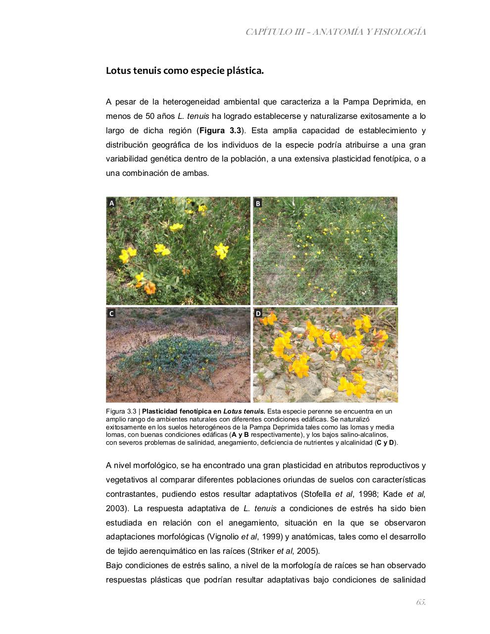 Vista previa del archivo PDF tesis-completa.pdf