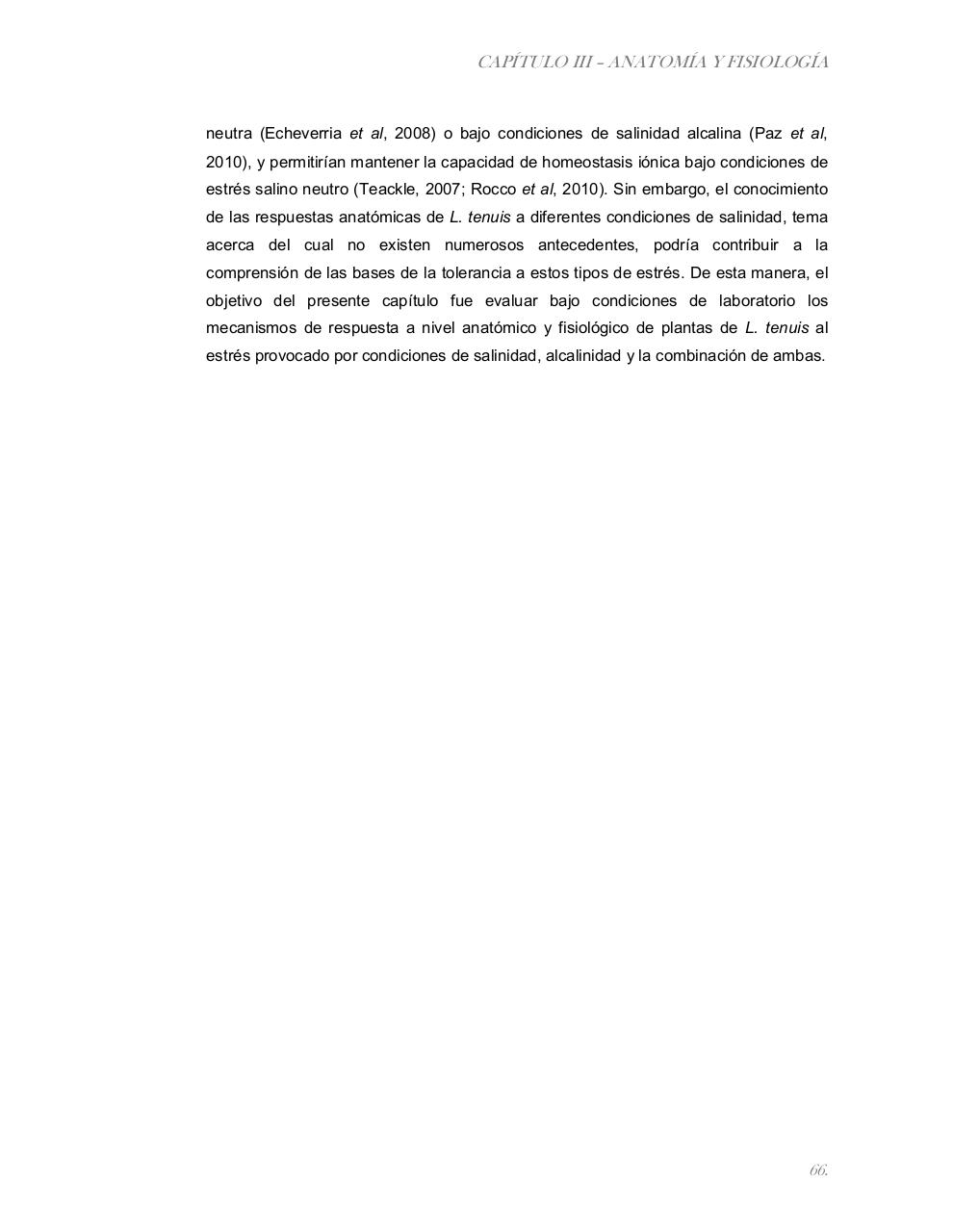 Vista previa del archivo PDF tesis-completa.pdf