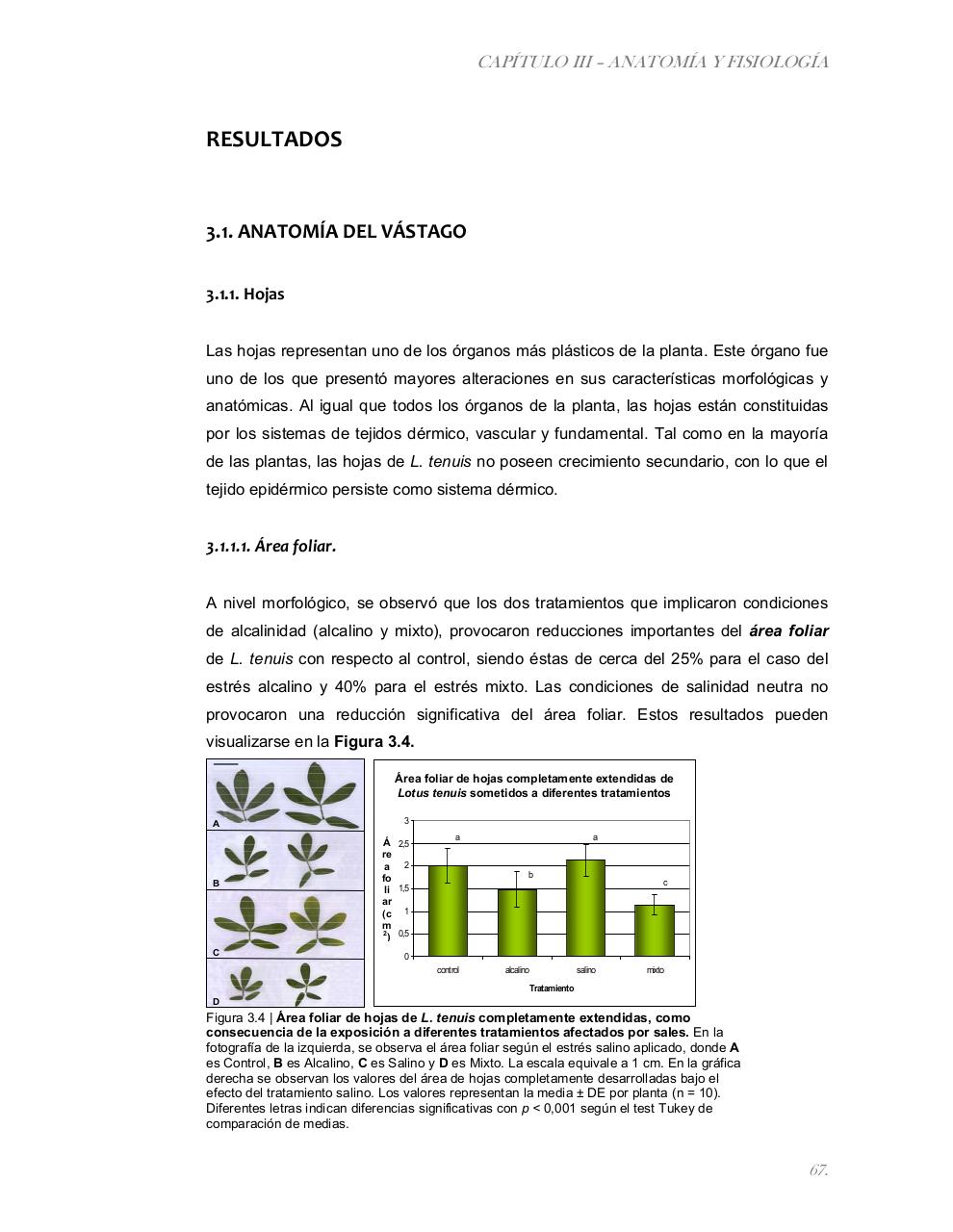 Vista previa del archivo PDF tesis-completa.pdf