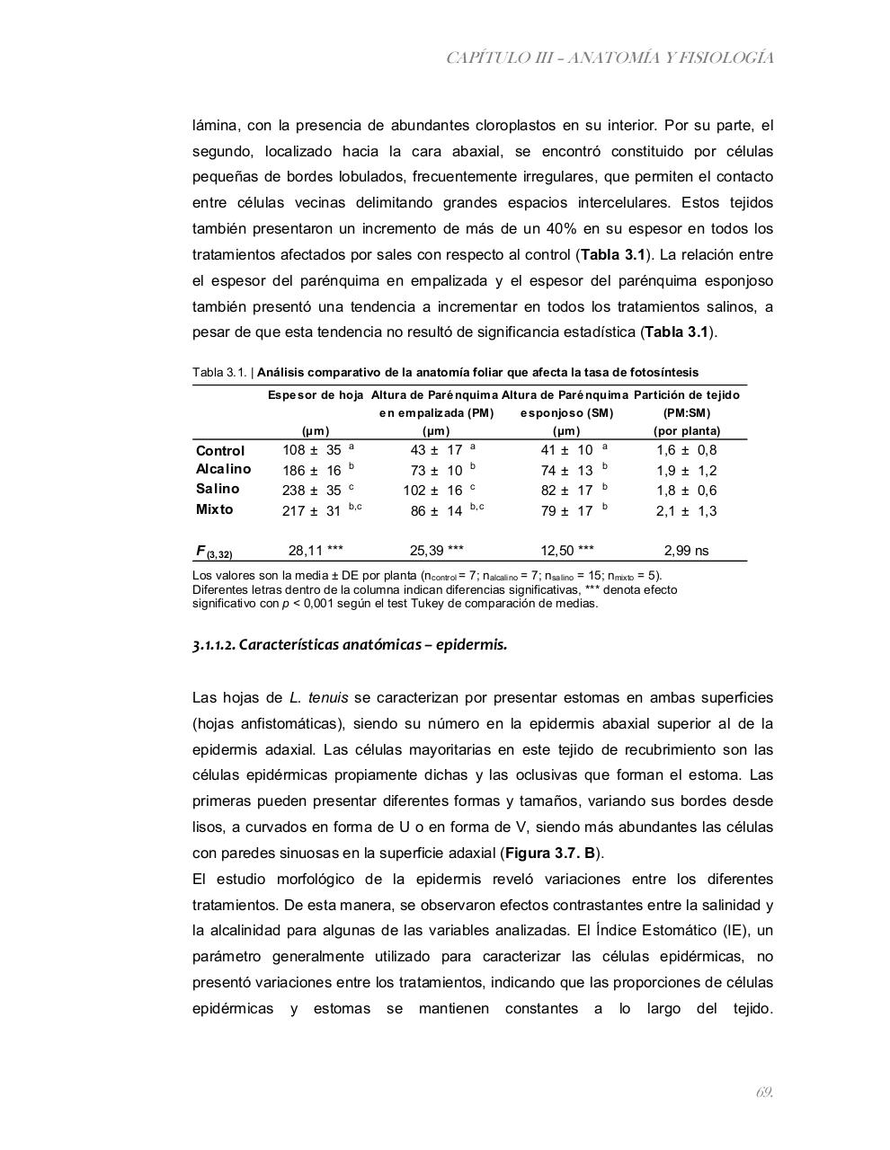 Vista previa del archivo PDF tesis-completa.pdf