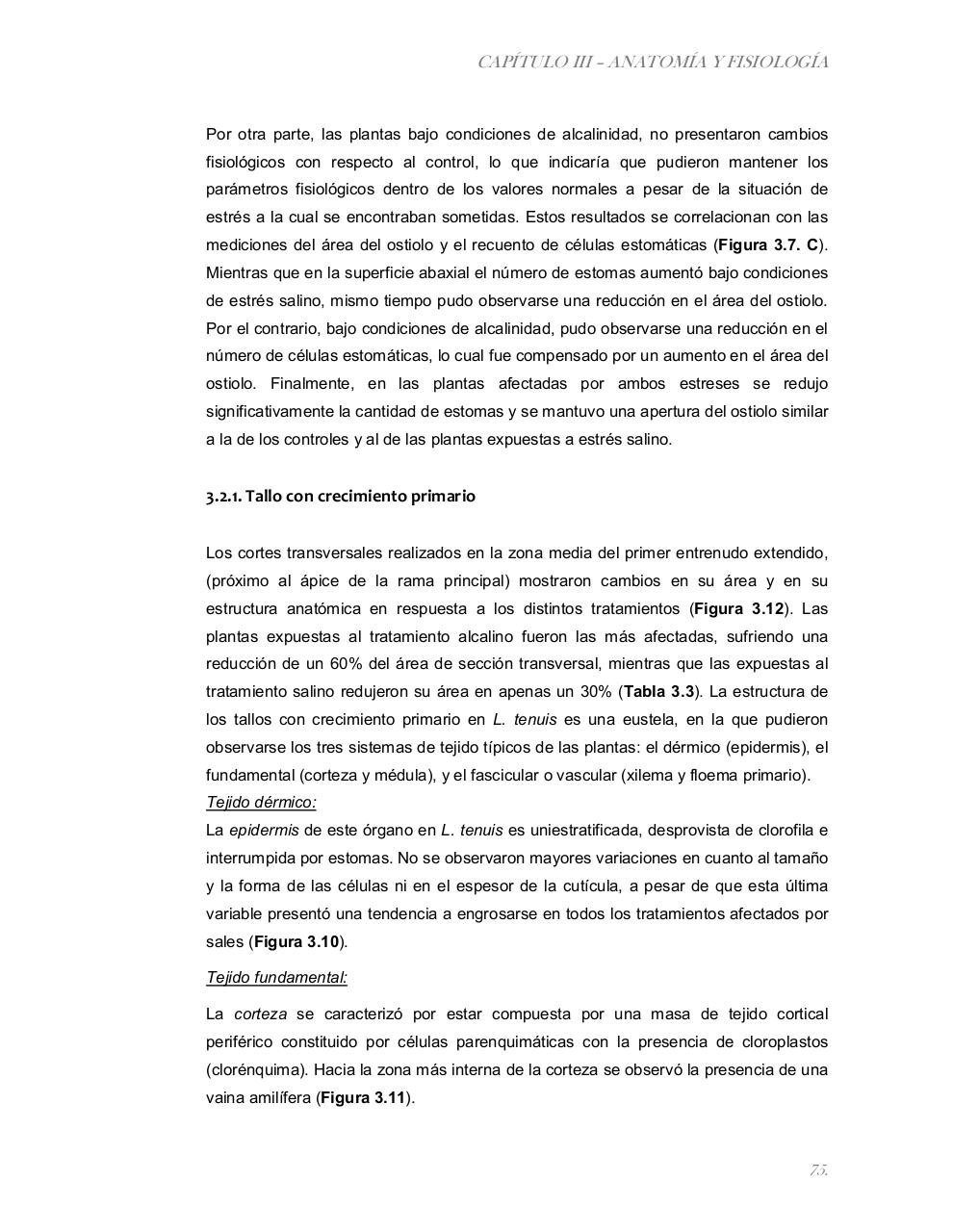 Vista previa del archivo PDF tesis-completa.pdf