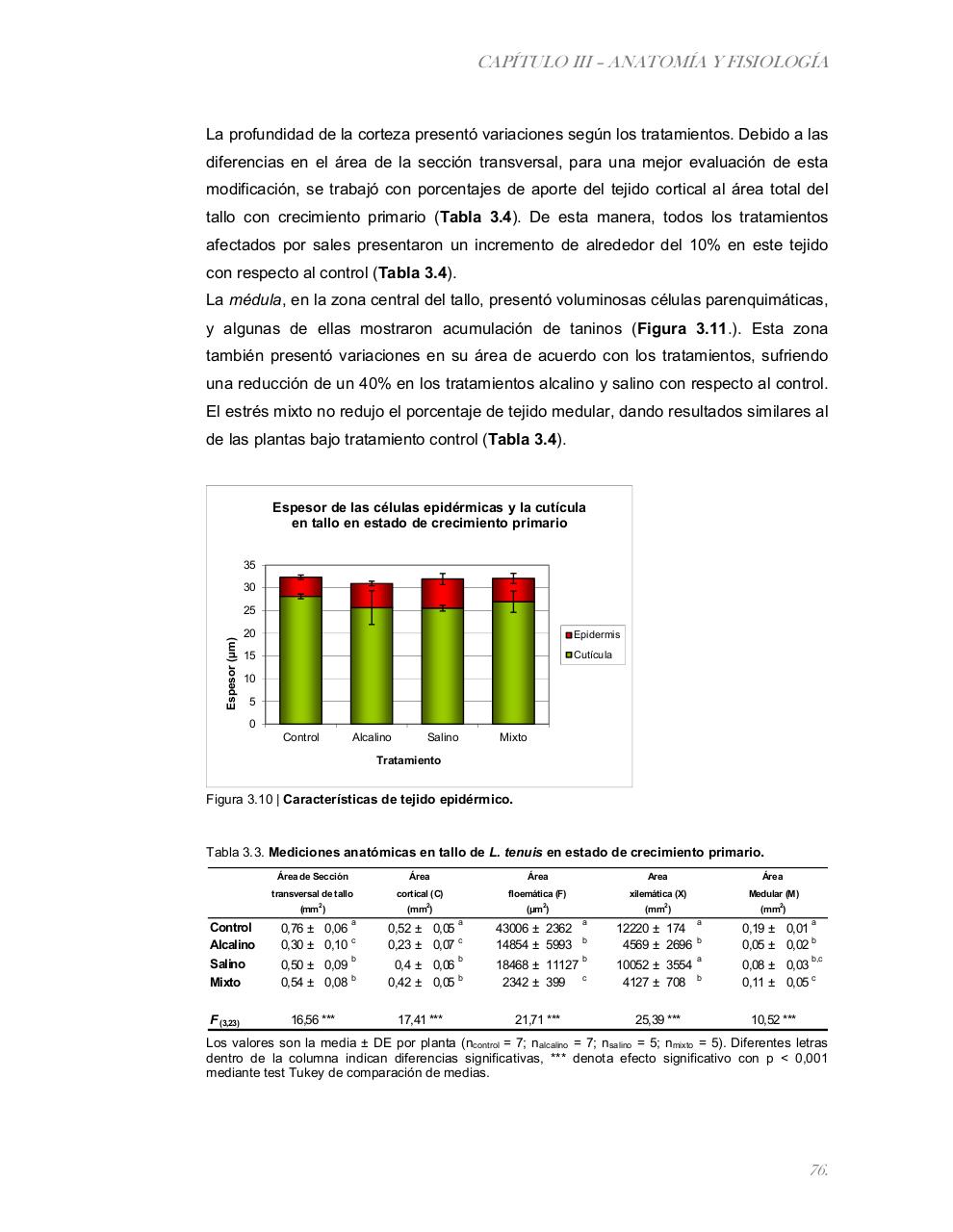 Vista previa del archivo PDF tesis-completa.pdf