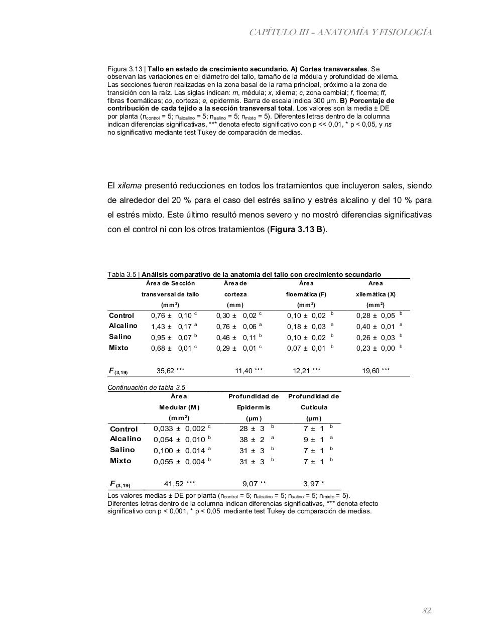 Vista previa del archivo PDF tesis-completa.pdf