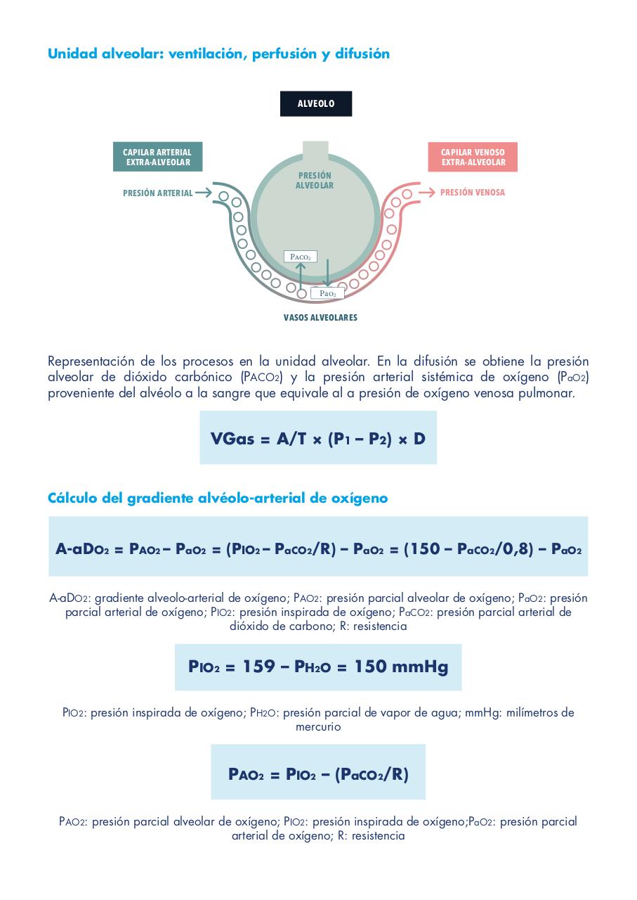 Vista previa del archivo PDF vmadultoscompendio.pdf