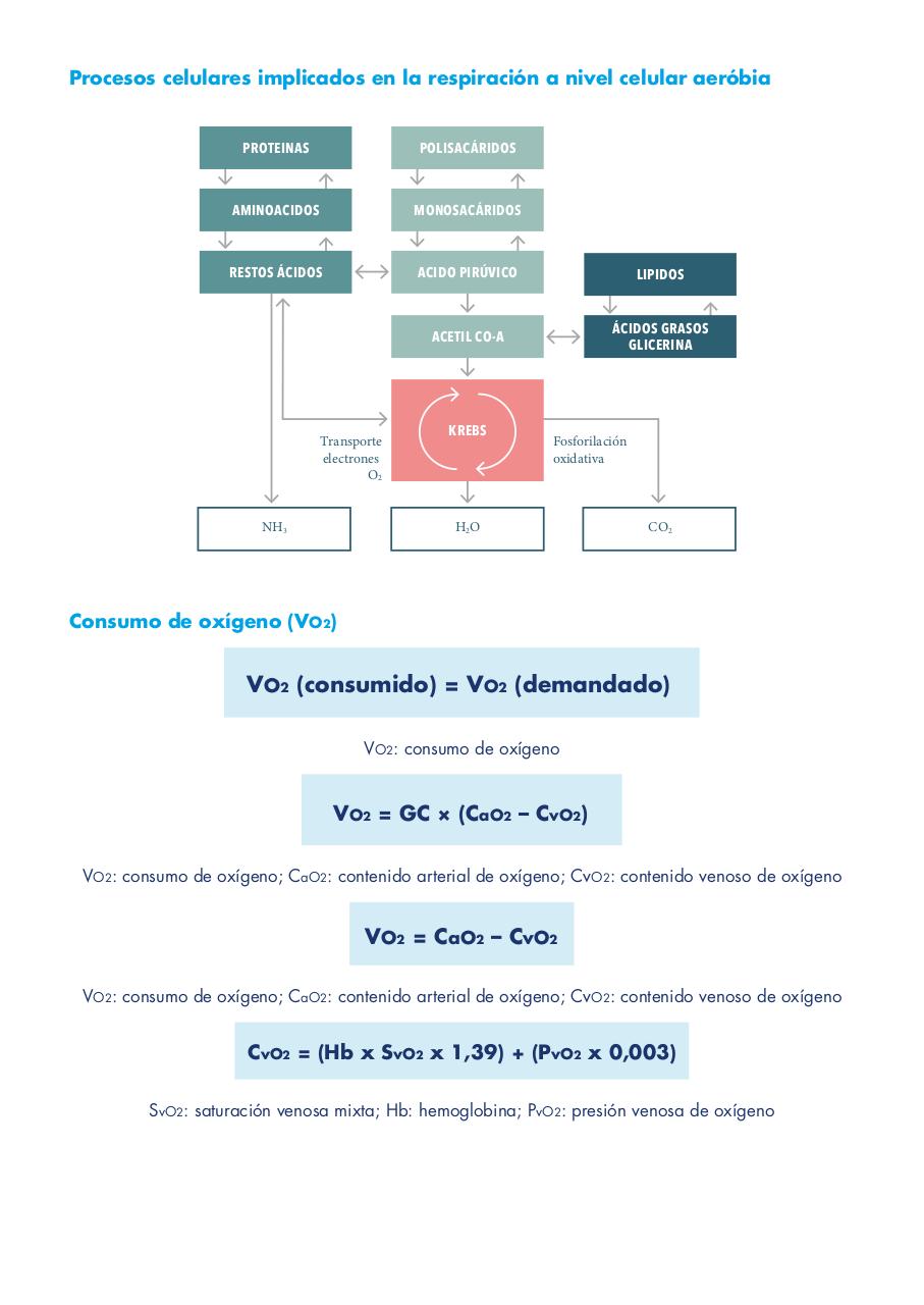 Vista previa del archivo PDF vmadultoscompendio.pdf