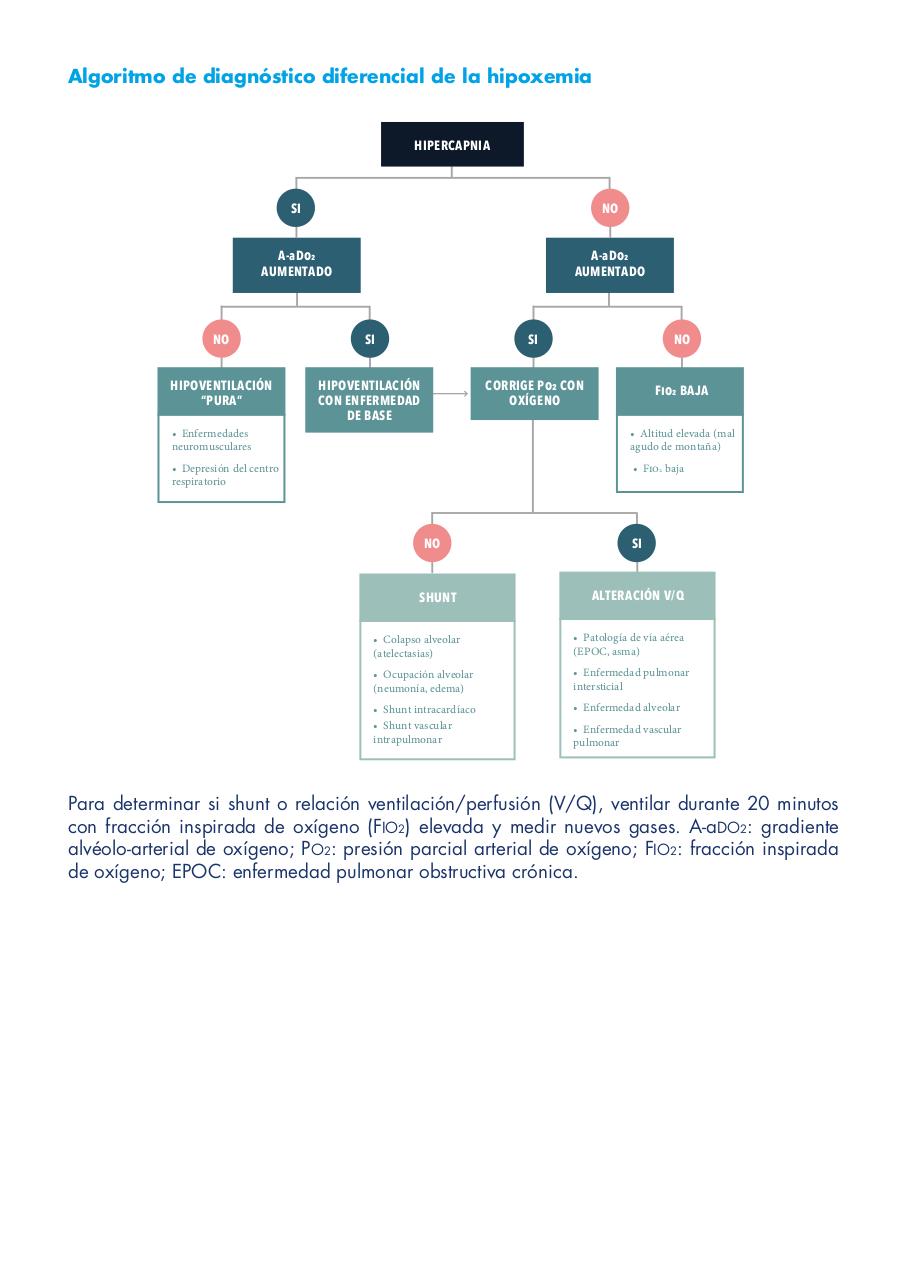 Vista previa del archivo PDF vmadultoscompendio.pdf