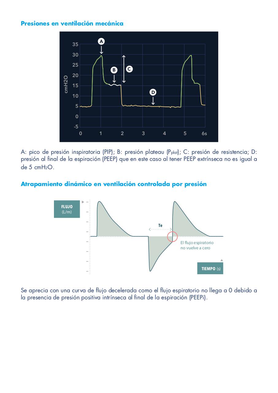 Vista previa del archivo PDF vmadultoscompendio.pdf