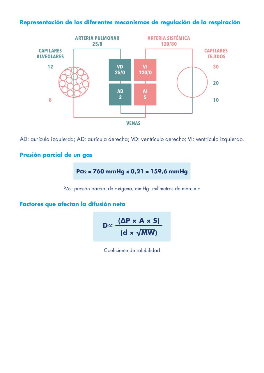 Vista previa del archivo PDF vmadultoscompendio.pdf