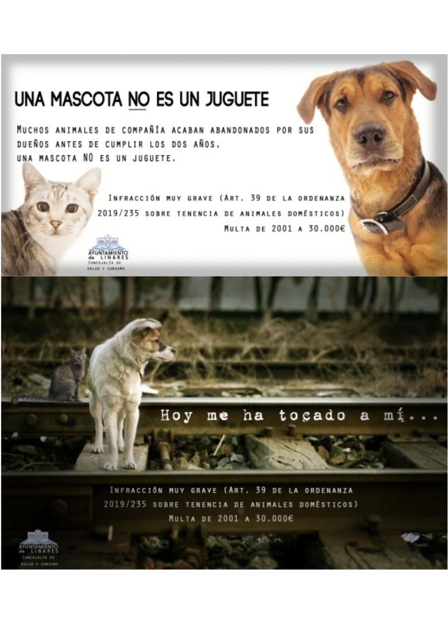 Vista previa del archivo PDF porfolio-jusepe.pdf