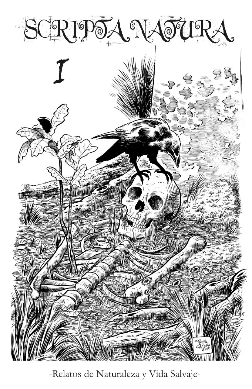 Vista previa del archivo PDF sc1gratis.pdf