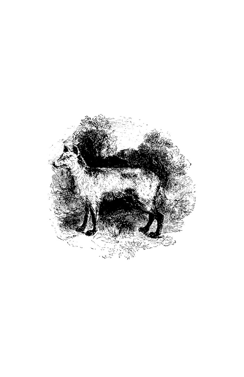 Vista previa del archivo PDF sc1gratis.pdf