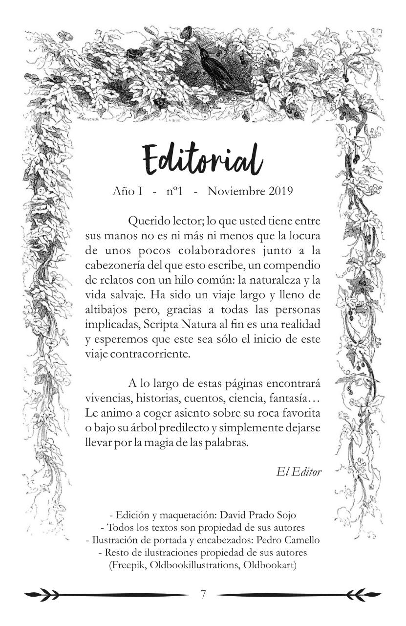 Vista previa del archivo PDF sc1gratis.pdf