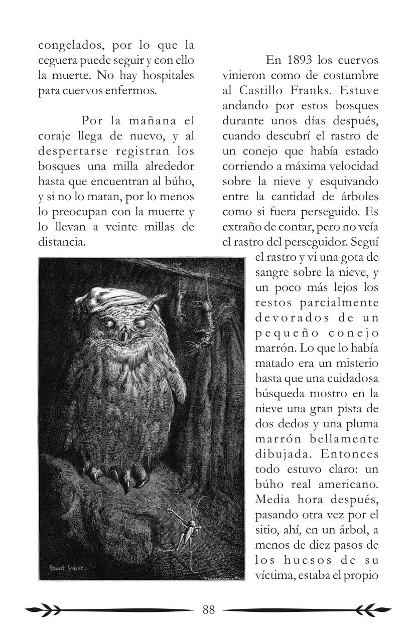 Vista previa del archivo PDF sc1gratis.pdf