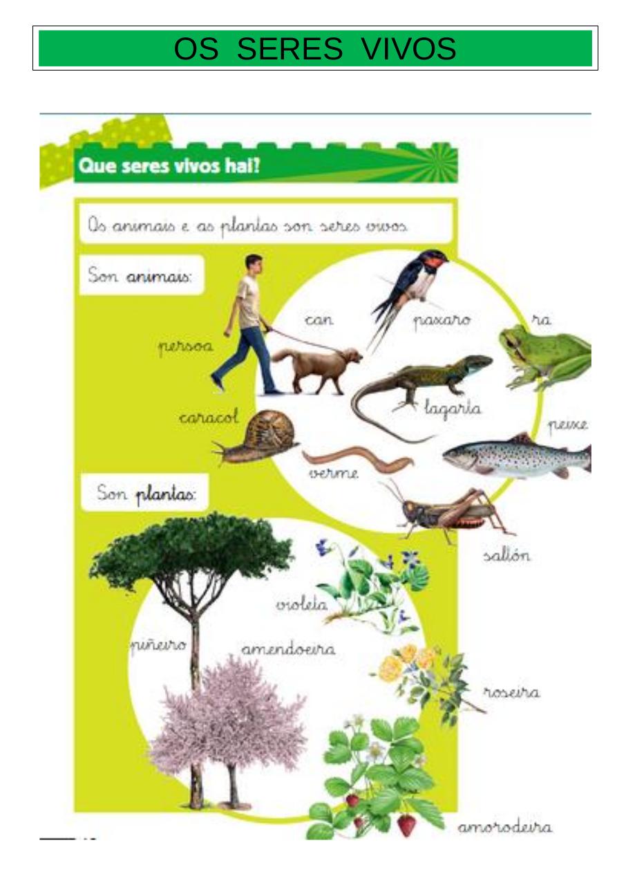 Vista previa del archivo PDF tema1-parte.pdf