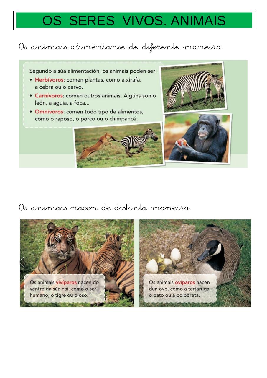 Vista previa del archivo PDF tema1-parte.pdf